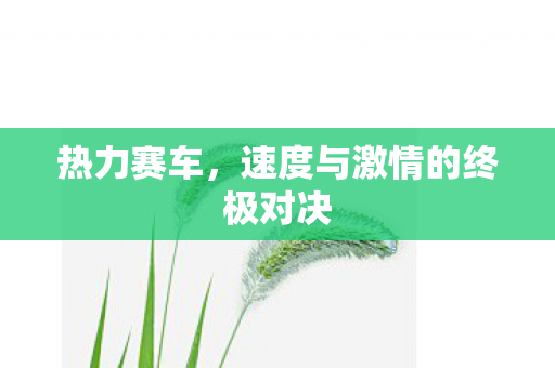 热力赛车，速度与激情的终极对决