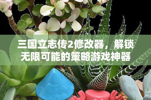 三国立志传2修改器,解锁无限可能的策略游戏神器 三国立志传2修改器,解锁无限可能的策略游戏神器