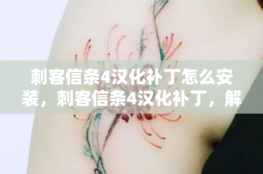 刺客信条4汉化补丁怎么安装，刺客信条4汉化补丁，解锁游戏新世界的钥匙