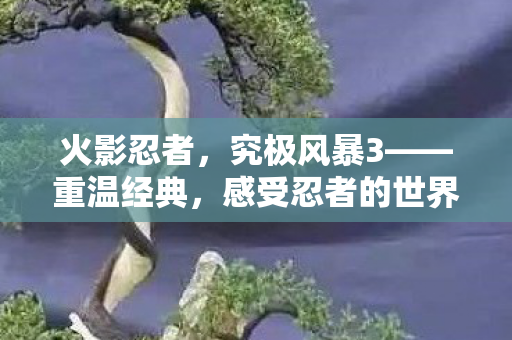 火影忍者，究极风暴3——重温经典，感受忍者的世界