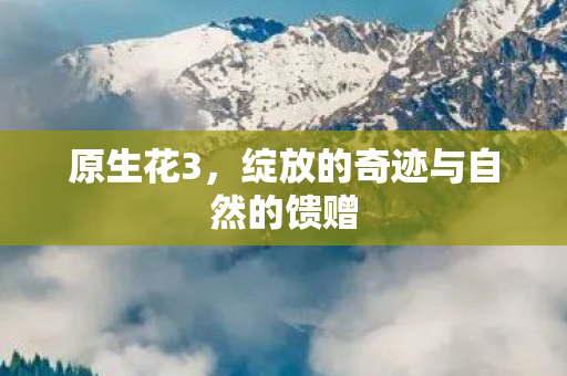 原生花3，绽放的奇迹与自然的馈赠