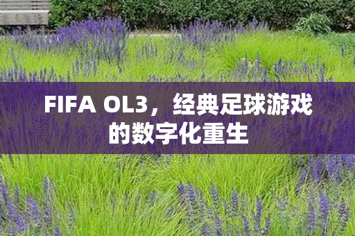 FIFA OL3，经典足球游戏的数字化重生