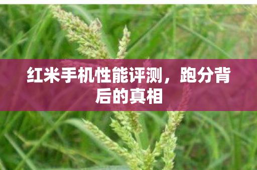 红米手机性能评测，跑分背后的真相