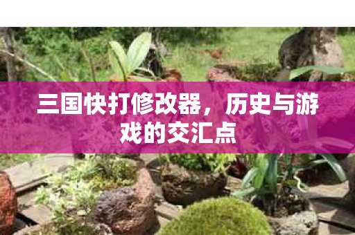 三国快打修改器,历史与游戏的交汇点 三国快打修改器,历史与游戏的交汇点