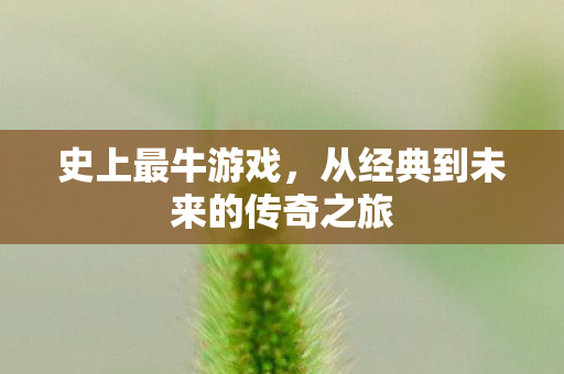 史上最牛游戏，从经典到未来的传奇之旅