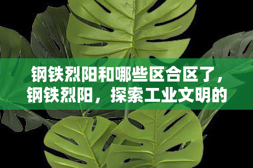 钢铁烈阳和哪些区合区了,钢铁烈阳,探索工业文明的辉煌篇章 钢铁烈阳和哪些区合区了,钢铁烈阳,探索工业文明的辉煌篇章