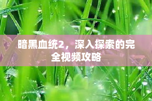 暗黑血统2，深入探索的完全视频攻略