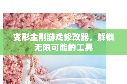 变形金刚游戏修改器，解锁无限可能的工具