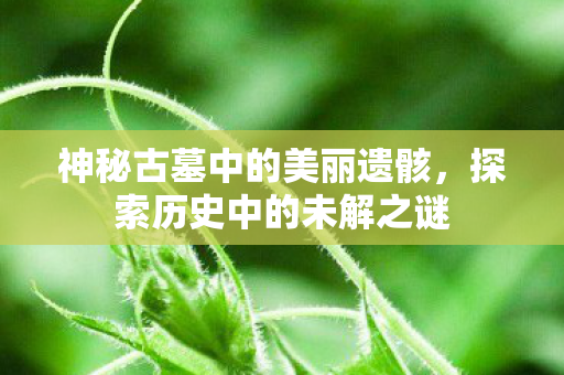 神秘古墓中的美丽遗骸,探索历史中的未解之谜 神秘古墓中的美丽遗骸,探索历史中的未解之谜