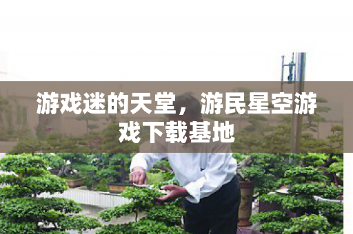 游戏迷的天堂，游民星空游戏下载基地