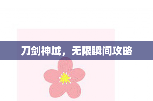 刀剑神域，无限瞬间攻略