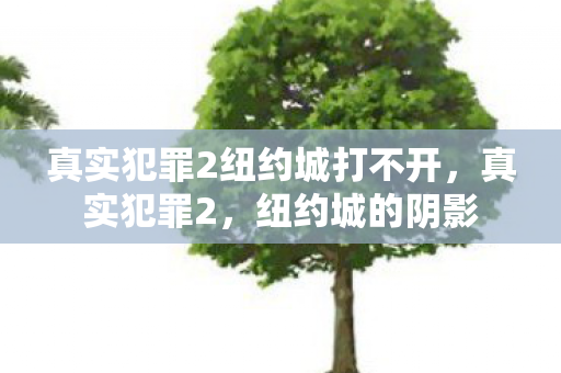 真实犯罪2纽约城打不开，真实犯罪2，纽约城的阴影