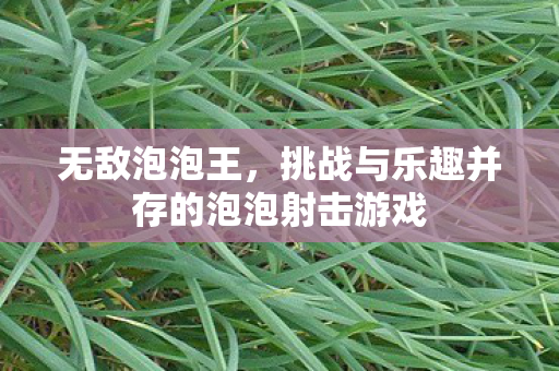 无敌泡泡王，挑战与乐趣并存的泡泡射击游戏