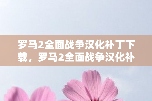罗马2全面战争汉化补丁下载，罗马2全面战争汉化补丁，解锁古老文明的战略智慧