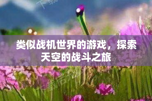 类似战机世界的游戏，探索天空的战斗之旅