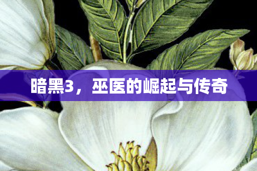 暗黑3，巫医的崛起与传奇