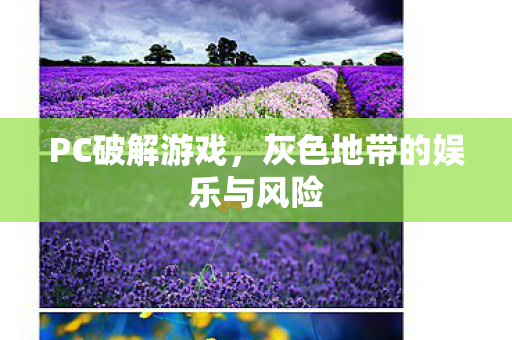 PC破解游戏，灰色地带的娱乐与风险