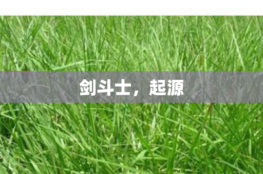 剑斗士,起源 剑斗士,起源