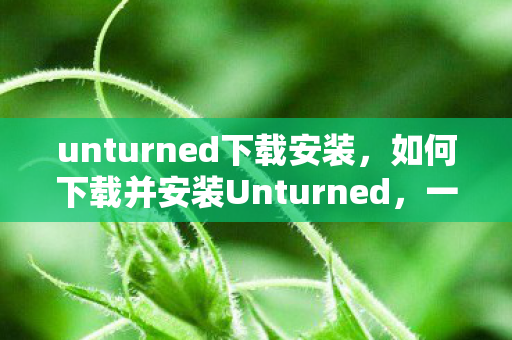 unturned下载安装，如何下载并安装Unturned，一个生存射击游戏的指南