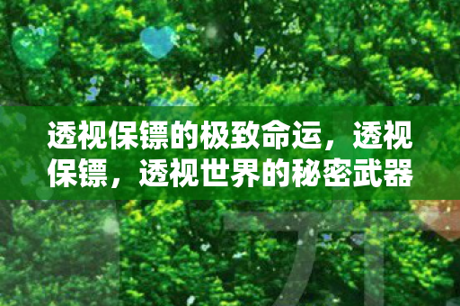透视保镖的极致命运,透视保镖,透视世界的秘密武器 透视保镖的极致命运,透视保镖,透视世界的秘密武器