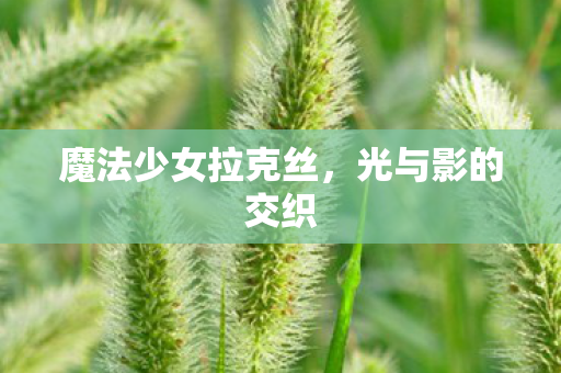 魔法少女拉克丝，光与影的交织