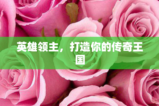 英雄领主,打造你的传奇王国 英雄领主,打造你的传奇王国