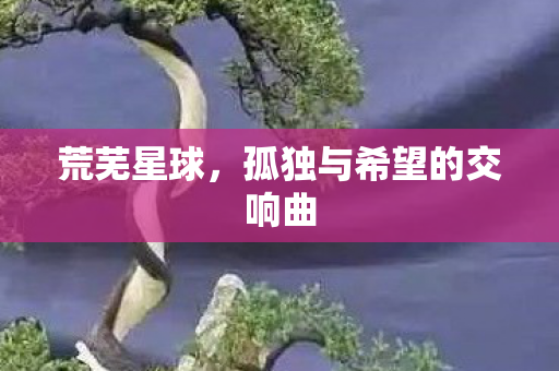 荒芜星球,孤独与希望的交响曲 荒芜星球,孤独与希望的交响曲