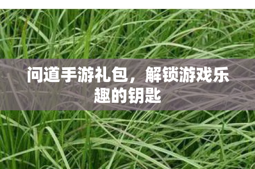 问道手游礼包，解锁游戏乐趣的钥匙