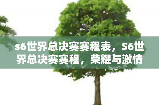 s6世界总决赛赛程表，S6世界总决赛赛程，荣耀与激情的碰撞