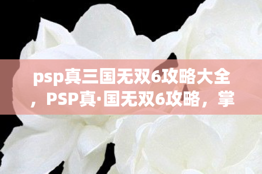 psp真三国无双6攻略大全,PSP真·国无双6攻略,掌握无双世界的战斗艺术 psp真三国无双6攻略大全,PSP真·国无双6攻略,掌握无双世界的战斗艺术