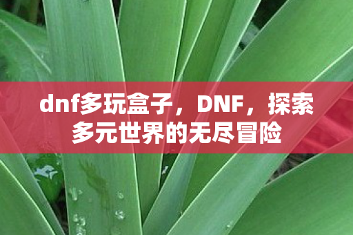 dnf多玩盒子，DNF，探索多元世界的无尽冒险