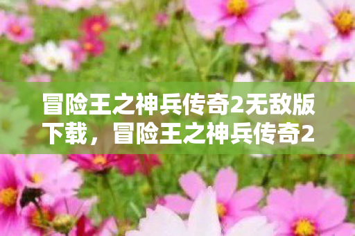 冒险王之神兵传奇2无敌版下载，冒险王之神兵传奇2无敌版，探索未知世界的勇者之旅