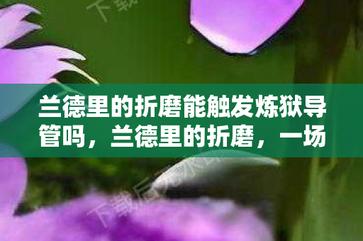 兰德里的折磨能触发炼狱导管吗，兰德里的折磨，一场心灵的探索之旅