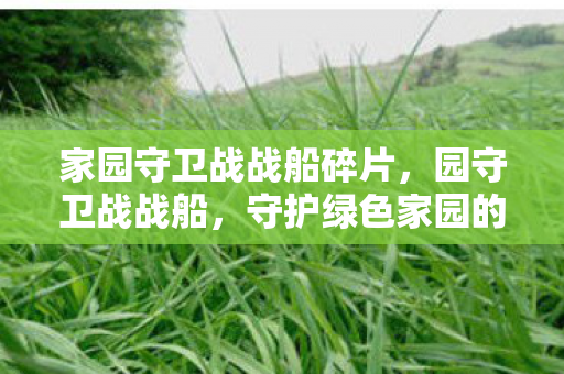 家园守卫战战船碎片,园守卫战战船,守护绿色家园的海洋使者 家园守卫战战船碎片,园守卫战战船,守护绿色家园的海洋使者