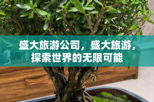 盛大旅游公司,盛大旅游,探索世界的无限可能 盛大旅游公司,盛大旅游,探索世界的无限可能