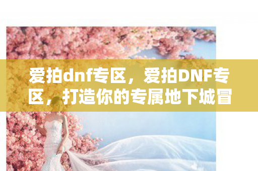 爱拍dnf专区，爱拍DNF专区，打造你的专属地下城冒险之旅