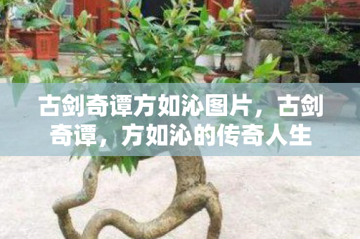 古剑奇谭方如沁图片，古剑奇谭，方如沁的传奇人生