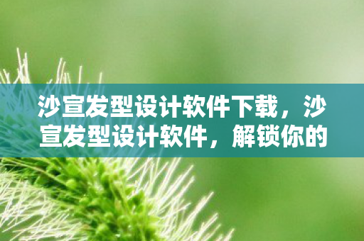 沙宣发型设计软件下载，沙宣发型设计软件，解锁你的时尚潜能