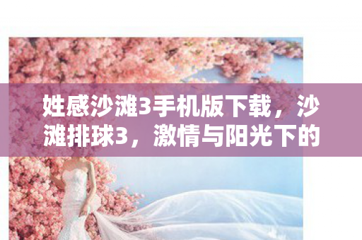 姓感沙滩3手机版下载，沙滩排球3，激情与阳光下的游戏盛宴