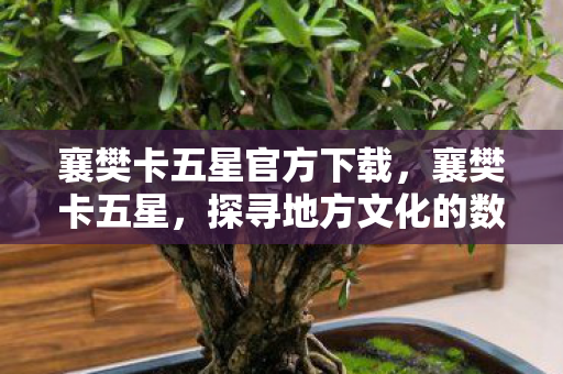 襄樊卡五星官方下载,襄樊卡五星,探寻地方文化的数字记忆 襄樊卡五星官方下载,襄樊卡五星,探寻地方文化的数字记忆