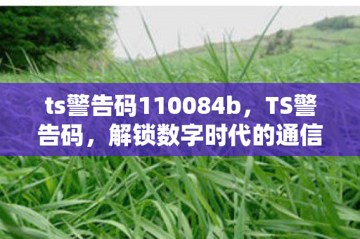 ts警告码110084b,TS警告码,解锁数字时代的通信安全 ts警告码110084b,TS警告码,解锁数字时代的通信安全