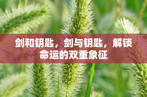 剑和钥匙,剑与钥匙,解锁命运的双重象征 剑和钥匙,剑与钥匙,解锁命运的双重象征