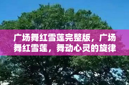 广场舞红雪莲完整版，广场舞红雪莲，舞动心灵的旋律