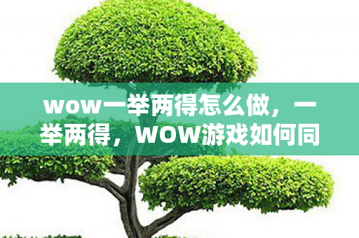 wow一举两得怎么做，一举两得，WOW游戏如何同时提升娱乐与社交能力