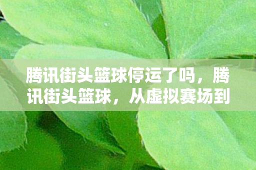 腾讯街头篮球停运了吗,腾讯街头篮球,从虚拟赛场到现实生活的篮球梦 腾讯街头篮球停运了吗,腾讯街头篮球,从虚拟赛场到现实生活的篮球梦