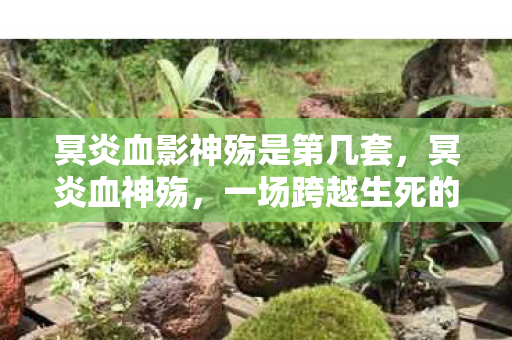 冥炎血影神殇是第几套，冥炎血神殇，一场跨越生死的传奇之旅