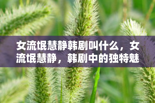 女流氓慧静韩剧叫什么，女流氓慧静，韩剧中的独特魅力与争议