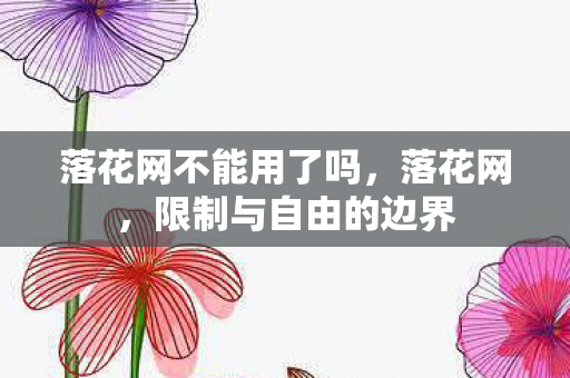 落花网不能用了吗，落花网，限制与自由的边界