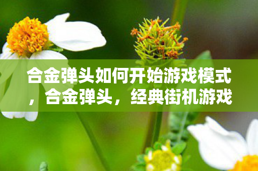 合金弹头如何开始游戏模式,合金弹头,经典街机游戏的重启与回忆 合金弹头如何开始游戏模式,合金弹头,经典街机游戏的重启与回忆