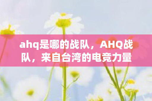 ahq是哪的战队，AHQ战队，来自台湾的电竞力量